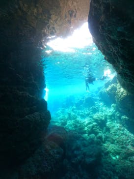 武藤潜水に投稿された画像（2024/5/19）