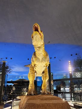 福井県立恐竜博物館に投稿された画像（2024/5/19）