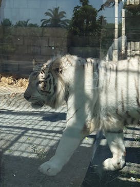 東武動物公園に投稿された画像（2024/5/19）