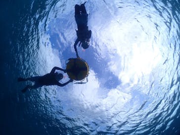 初心者専門宮古島シュノーケリングツアーに投稿された画像（2024/5/19）