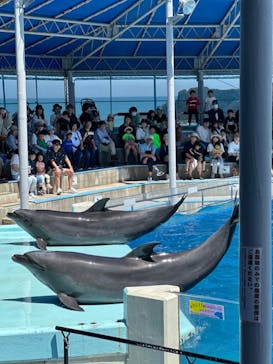 越前松島水族館に投稿された画像（2024/5/19）