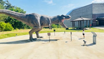 福井県立恐竜博物館に投稿された画像（2024/5/19）