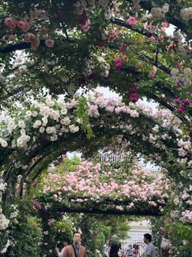 横浜イングリッシュガーデンに投稿された画像（2024/5/19）