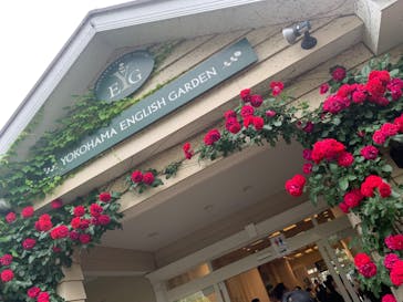 横浜イングリッシュガーデンに投稿された画像（2024/5/19）