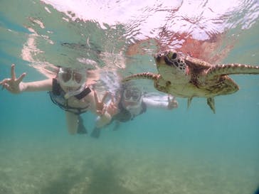 宮古島マリンショップSmileyに投稿された画像（2024/5/19）