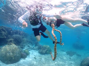 宮古島マリンショップSmileyに投稿された画像（2024/5/19）