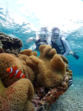 宮古島マリンショップSmileyに投稿された画像（2024/5/19）