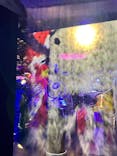 UWS AQUARIUM GA☆KYOに投稿された画像（2024/5/19）