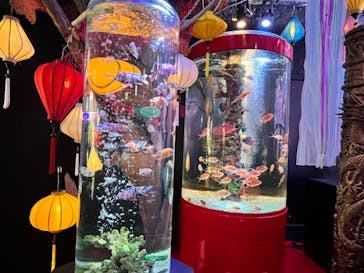 UWS AQUARIUM GA☆KYOに投稿された画像（2024/5/19）