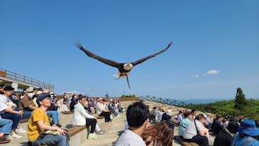 那須どうぶつ王国に投稿された画像（2024/5/19）