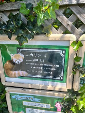 東武動物公園に投稿された画像（2024/5/19）