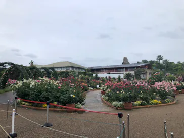 ひらかたパークに投稿された画像（2024/5/19）