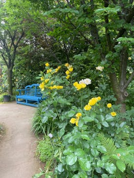 横浜イングリッシュガーデンに投稿された画像（2024/5/19）