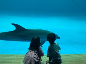アクアワールド茨城県大洗水族館に投稿された画像（2024/5/19）