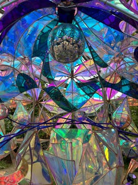 京成バラ園に投稿された画像（2024/5/19）