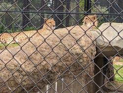 千葉市動物公園に投稿された画像（2024/5/19）