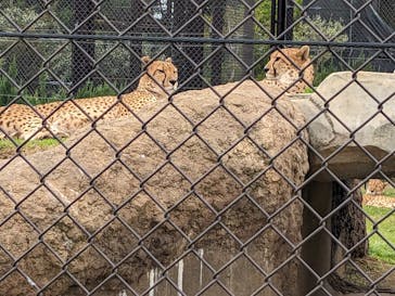 千葉市動物公園に投稿された画像（2024/5/19）