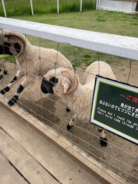 那須どうぶつ王国に投稿された画像（2024/5/19）