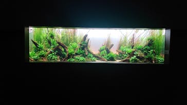 AOAO SAPPOROに投稿された画像（2024/5/19）