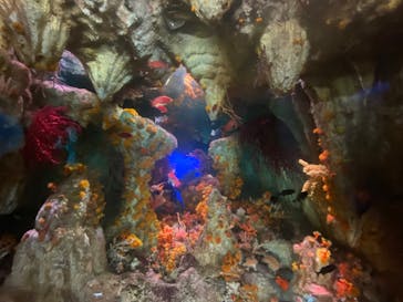 サンシャイン水族館に投稿された画像（2024/5/19）