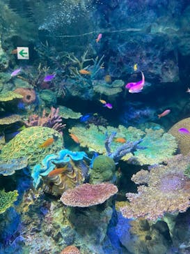 サンシャイン水族館に投稿された画像（2024/5/19）