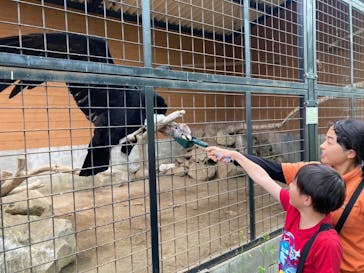 那須どうぶつ王国に投稿された画像（2024/5/19）