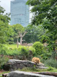 天王寺動物園に投稿された画像（2024/5/19）