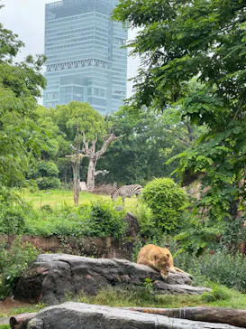 天王寺動物園に投稿された画像（2024/5/19）