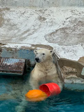 天王寺動物園に投稿された画像（2024/5/19）