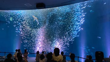 名古屋港水族館に投稿された画像（2024/5/19）