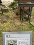 千葉市動物公園に投稿された画像（2024/5/19）