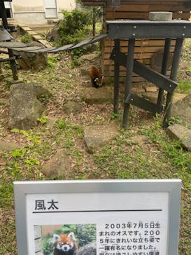 千葉市動物公園に投稿された画像（2024/5/19）