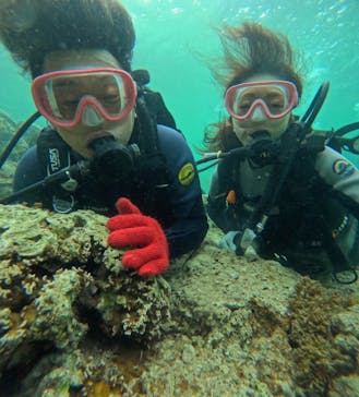 武藤潜水に投稿された画像（2024/5/19）