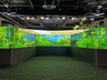 カワスイ 川崎⽔族館に投稿された画像（2024/5/19）