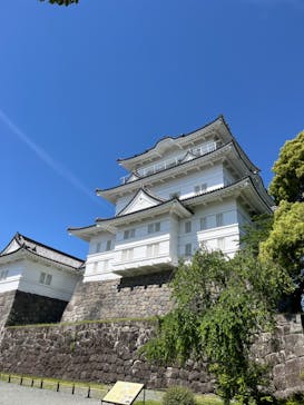 小田原城に投稿された画像（2024/5/19）