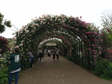 横浜イングリッシュガーデンに投稿された画像（2024/5/19）