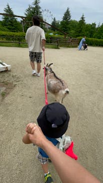那須高原りんどう湖ファミリー牧場に投稿された画像（2024/5/19）