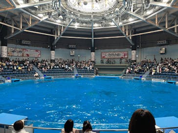 マクセル アクアパーク品川に投稿された画像（2024/5/19）