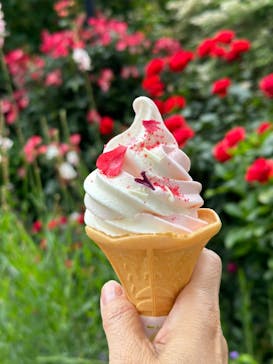 横浜イングリッシュガーデンに投稿された画像（2024/5/19）