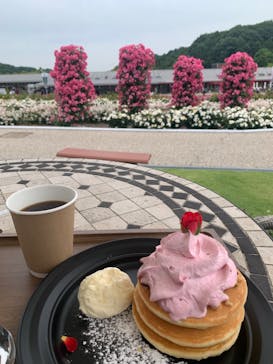 ぎふワールド・ローズガーデンに投稿された画像（2024/5/19）