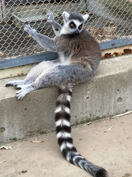 東武動物公園に投稿された画像（2024/5/19）
