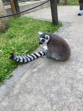 東武動物公園に投稿された画像（2024/5/19）