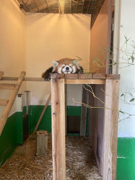 東武動物公園に投稿された画像（2024/5/19）