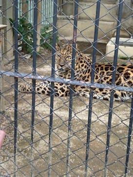 東武動物公園に投稿された画像（2024/5/19）