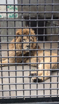 宇都宮動物園に投稿された画像（2024/5/19）