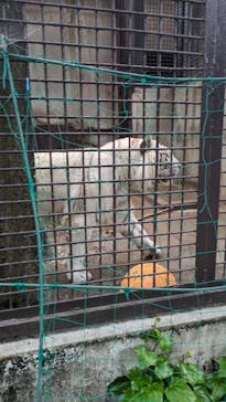 宇都宮動物園に投稿された画像（2024/5/19）
