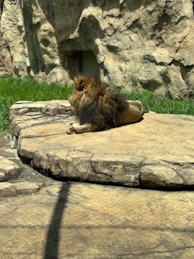 千葉市動物公園に投稿された画像（2024/5/19）