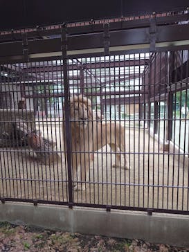 宇都宮動物園に投稿された画像（2024/5/19）