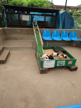 宇都宮動物園に投稿された画像（2024/5/19）