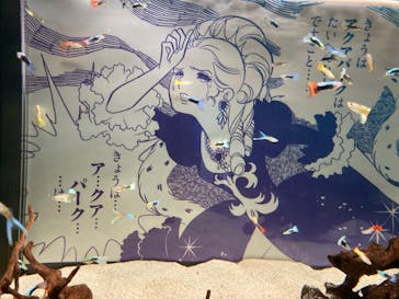 マクセル アクアパーク品川に投稿された画像（2024/5/19）